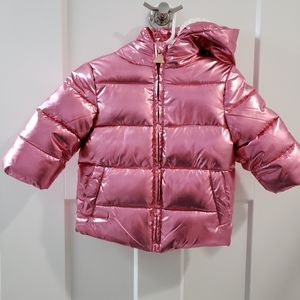 Tahari Baby Girl Puffer Jacket 12M